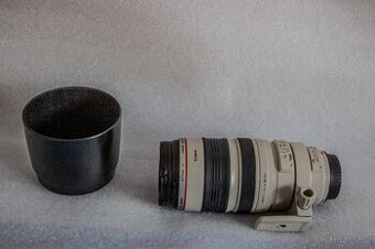 Canon EF 100-400 F4,5-5,6