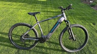 Elektrokolo Bosch performance cx