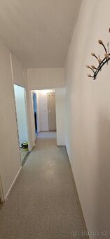 Velký 2+1,66m2,OV v Luhačovicich