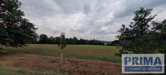 Stavební pozemek 820 m2 a louka 1169 m2 Všemyslice