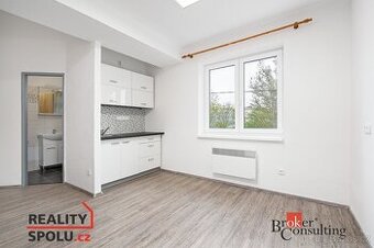 Prodej, byty/1+kk, 20 m2, V Rumunsku 158, 33442 Chlumčany, P
