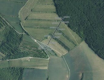 Sady, vinice, prodej, Boleradice, Břeclav