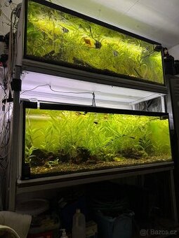 Akvárium 2x450l