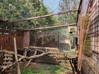 Velka voliera 23m2