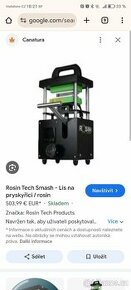 Lis na priskyřici