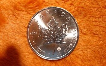 Prodám investiční stříbrné mince Maple Leaf 1oz