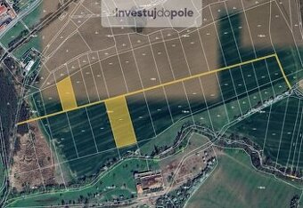 Prodej pole v k.ú. Osvětimany, ev.č. 2025-08-06-1