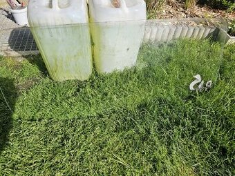 Zadní sklo Škoda 1000MB