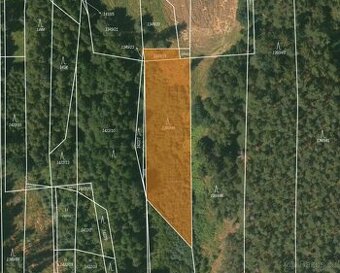 Les Losiná, okres Plzeň-jih - 1