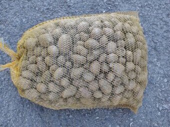 PRODÁM KRMNÉ BRAMBORY