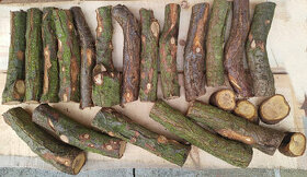 Rakytníkové dřevo (Hippophae rhamnoides) 33cm polínka