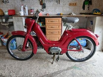Jawetta - 1