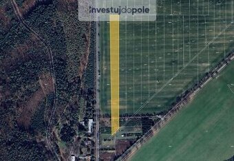 Prodej pole v k.ú. Kostelec nad Černými lesy - 1