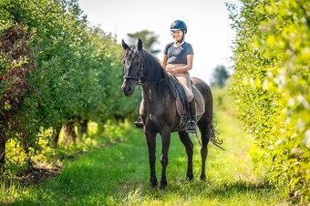 Klisna pony 147khv na rekreaci i sport