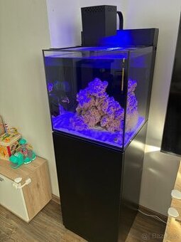 Mořské akvárium red sea max nano