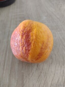 Pomerančovník Arcobal