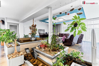 Prodej luxusní vily, 296 m2, Vítězství, Děčín