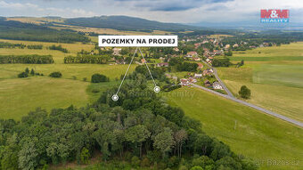 Prodej louky, 4178 m², Dětřichov