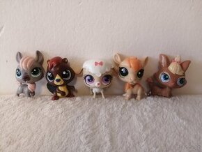 1. Lps