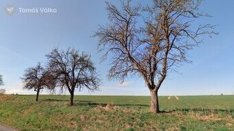 Prodej zemědělské půdy 1,6 ha - kú Újezdsko