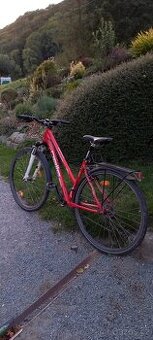 Pells - 1