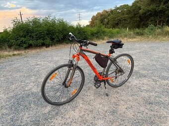 Specialized kolo velikost L