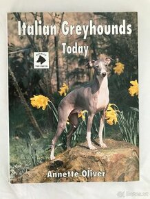 Italian Greyhounds Today.
