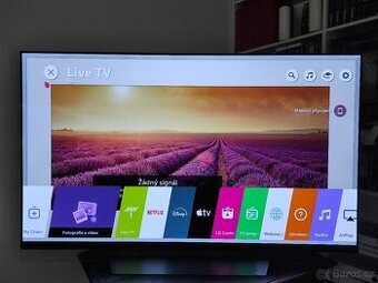 OLED televize 65" LG OLED65E8PLA