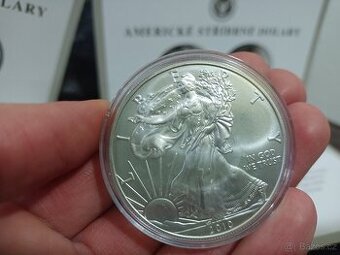 Sběratelská stříbrná mince USA Dollar 2010, 12.5 g