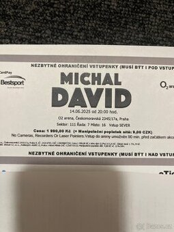 MichalDavid