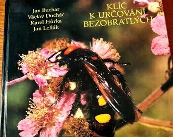 KLÍČ K URČOVÁNÍ BEZOBRATLÝCH
