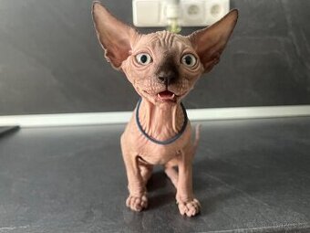 Sphynx