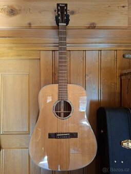 Kytara TASMAN TA100