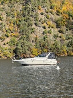 Motorova jachta Sea ray 290 Sundancer