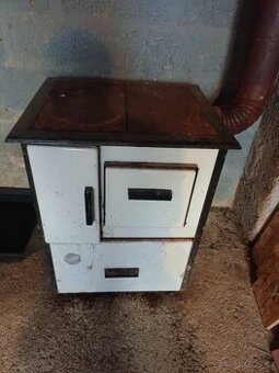 Kamna na dřevo i uhlí