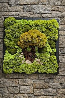 Mechový obraz 54x54