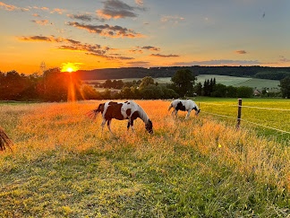 Pastevní Ustájení