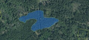 Prodám lesní pozemek v k.ú. Nechanice u Nových Mitrovic