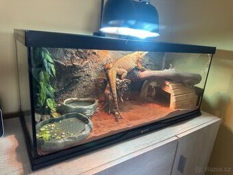Prodám terárium pro agamy nebo želvičku