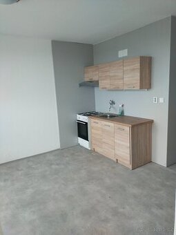 Byt 1+1 os.vlastnictví