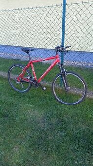 Maxbike 19