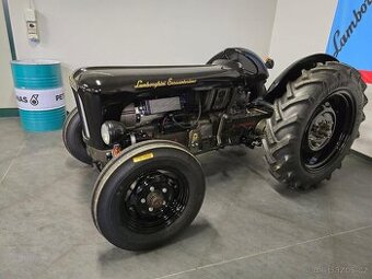 Lamborghini Sessantesimo FL3