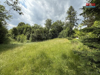 Prodej pozemku k bydlení, 1942 m², Choustník