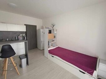 Olomouc Řepčín pronájem 1 +kk s terasou
