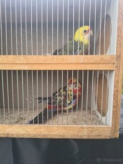 Penanty straky pára