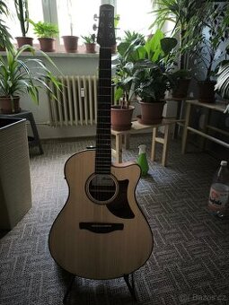 Ibanez AAM 50 CE