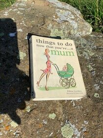 Elfréa Lockley-Things to Do Now That You're a Mom ANGLIČTINA