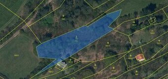 Prodám lesní pozemek v k.ú. Mrákotín u Telče, p.č. 1984