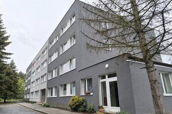 Pronájem bytu 1+kk 25 m and sup2; Wolkerova, Kladno - Kročeh