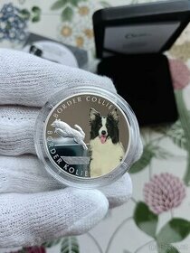 Stříbrná mince edice psí plemena ČM certifikát
